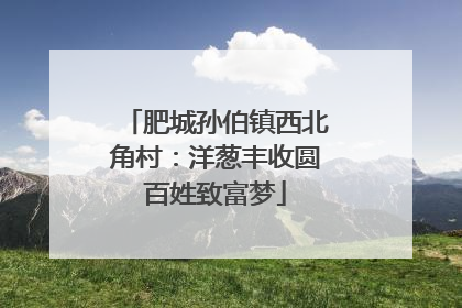 肥城孙伯镇西北角村：洋葱丰收圆百姓致富梦
