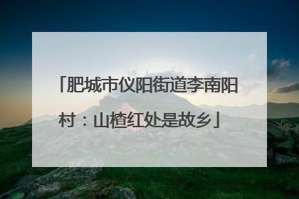 肥城市仪阳街道李南阳村：山楂红处是故乡