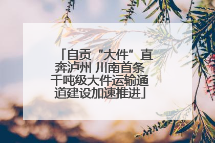 自贡“大件”直奔泸州 川南首条千吨级大件运输通道建设加速推进