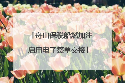 舟山保税船燃加注启用电子签单交接