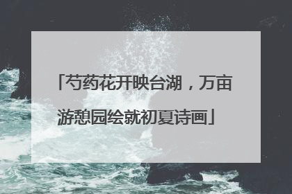 芍药花开映台湖，万亩游憩园绘就初夏诗画