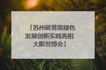 苏州碳普惠绿色发展创新实践亮相大阪世博会