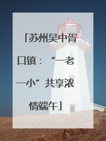 苏州吴中胥口镇：“一老一小”共享浓情端午