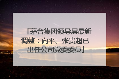 茅台集团领导层最新调整：向平、张贵超已出任公司党委委员