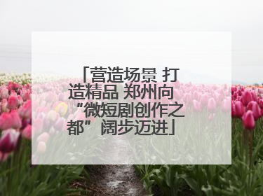 营造场景 打造精品 郑州向“微短剧创作之都”阔步迈进