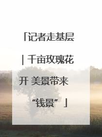 记者走基层｜千亩玫瑰花开 美景带来“钱景”