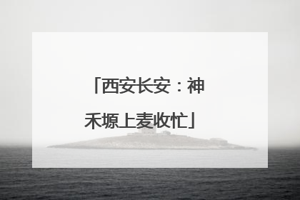 西安长安：神禾塬上麦收忙