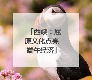 西峡：屈原文化点亮端午经济
