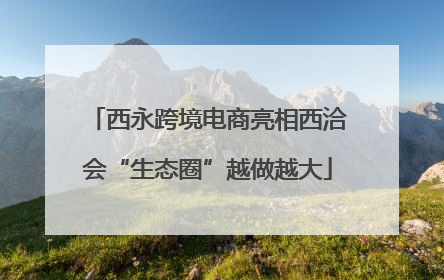 西永跨境电商亮相西洽会“生态圈”越做越大