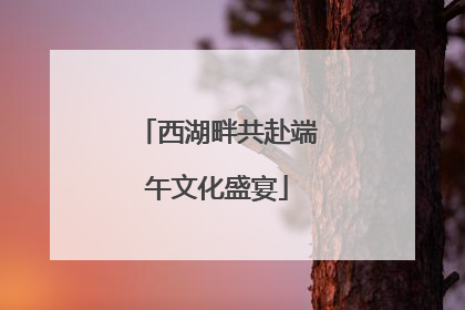 西湖畔共赴端午文化盛宴