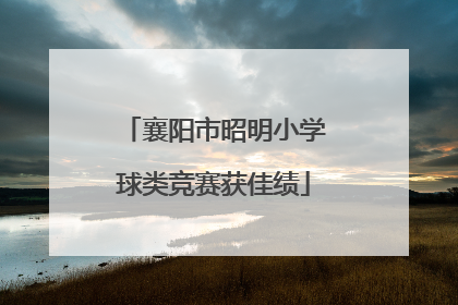 襄阳市昭明小学球类竞赛获佳绩