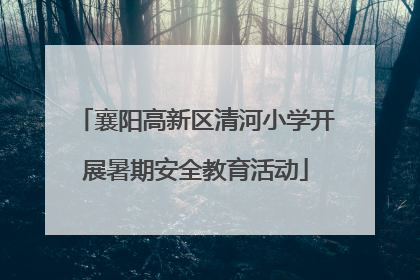 襄阳高新区清河小学开展暑期安全教育活动