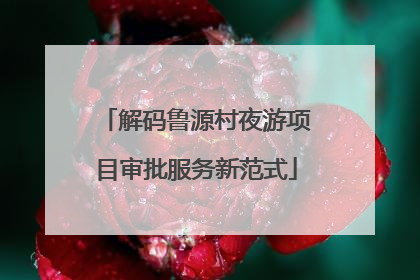 解码鲁源村夜游项目审批服务新范式