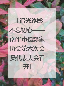 追光逐影 不忘初心——南平市摄影家协会第六次会员代表大会召开