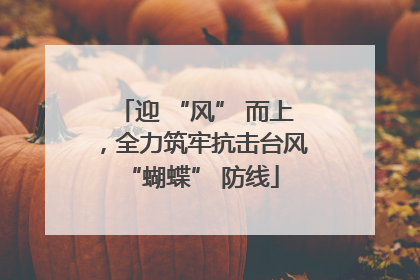 迎 “风” 而上，全力筑牢抗击台风 “蝴蝶” 防线