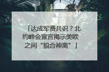 达成军费共识？北约峰会宣言揭示美欧之间“貌合神离”
