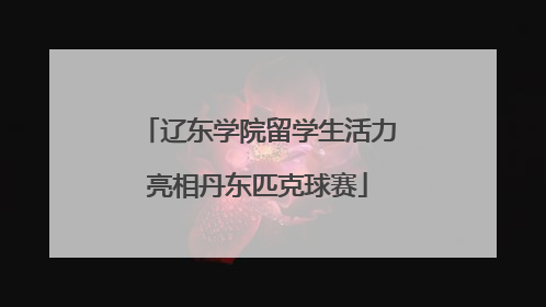 辽东学院留学生活力亮相丹东匹克球赛
