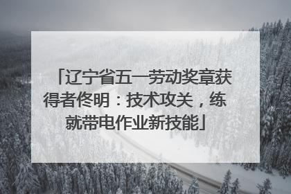 辽宁省五一劳动奖章获得者佟明：技术攻关，练就带电作业新技能