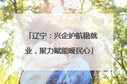 辽宁：兴企护航稳就业，聚力赋能暖民心