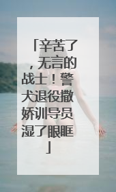 辛苦了，无言的战士！警犬退役撒娇训导员湿了眼眶