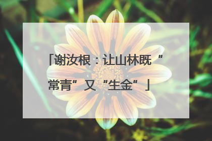 谢汝根：让山林既“常青”又“生金”