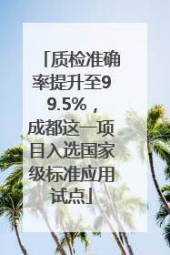 质检准确率提升至99.5%，成都这一项目入选国家级标准应用试点