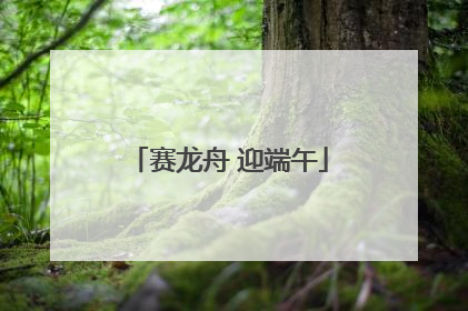 赛龙舟 迎端午