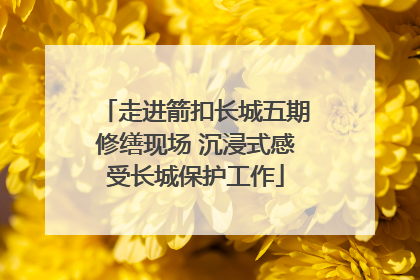 走进箭扣长城五期修缮现场 沉浸式感受长城保护工作