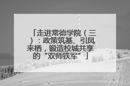走进常德学院（三）：政策筑基、引凤来栖，锻造校城共享的“双师铁军”