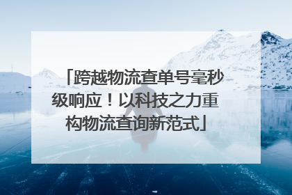 跨越物流查单号毫秒级响应！以科技之力重构物流查询新范式