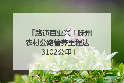 路通百业兴！滕州农村公路管养里程达3102公里