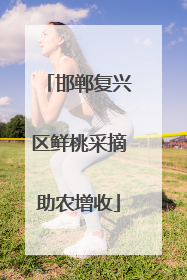 邯郸复兴区鲜桃采摘助农增收