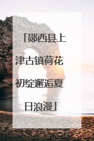 郧西县上津古镇荷花初绽邂逅夏日浪漫