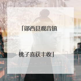 郧西县观音镇桃子喜获丰收