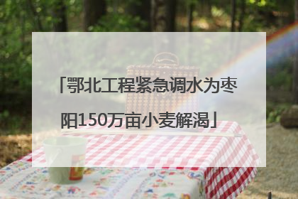 鄂北工程紧急调水为枣阳150万亩小麦解渴