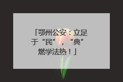 鄂州公安：立足于“民”，“典”燃学法热！