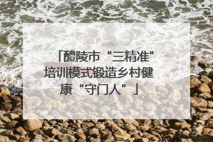 醴陵市“三精准”培训模式锻造乡村健康“守门人”