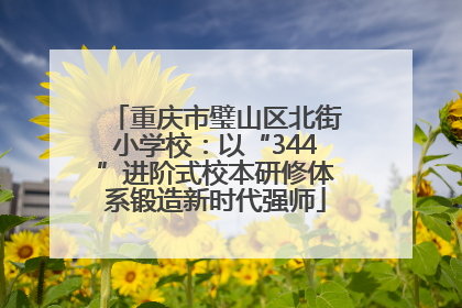 重庆市璧山区北街小学校：以“344”进阶式校本研修体系锻造新时代强师