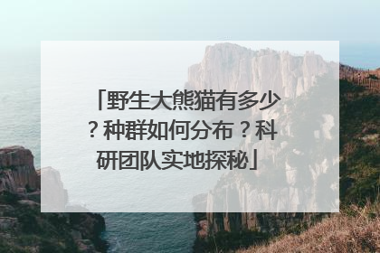 野生大熊猫有多少？种群如何分布？科研团队实地探秘