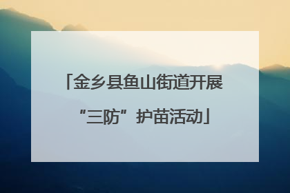 金乡县鱼山街道开展“三防”护苗活动
