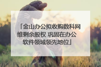 金山办公拟收购数科网维剩余股权 巩固在办公软件领域领先地位