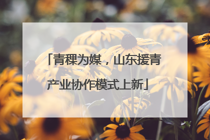 青稞为媒，山东援青产业协作模式上新