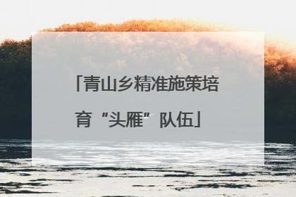 青山乡精准施策培育“头雁”队伍