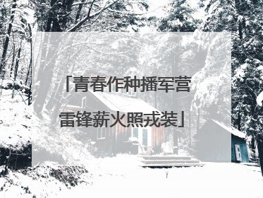 青春作种播军营 雷锋薪火照戎装