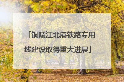铜陵江北港铁路专用线建设取得重大进展