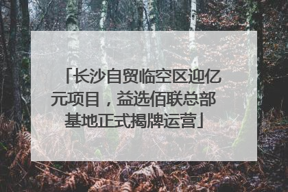 长沙自贸临空区迎亿元项目，益选佰联总部基地正式揭牌运营