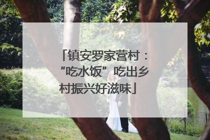 镇安罗家营村：“吃水饭”吃出乡村振兴好滋味