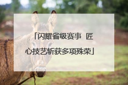 闪耀省级赛事  匠心技艺斩获多项殊荣
