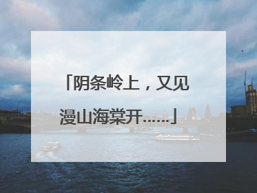 阴条岭上，又见漫山海棠开……