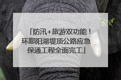 防汛+旅游双功能！环鄱阳湖堤顶公路应急保通工程全面完工